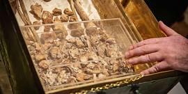 Miniatura Ciało wystawione na widok publiczny